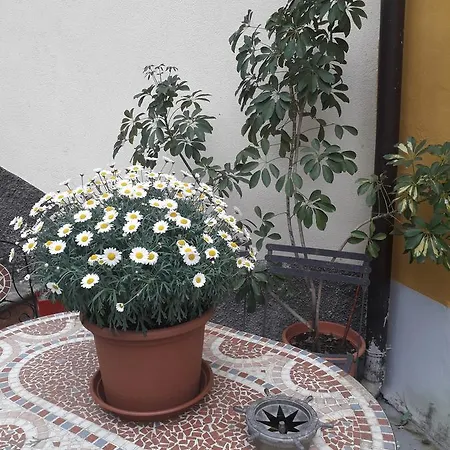 Ca'pelitti Oda ve Kahvaltı *